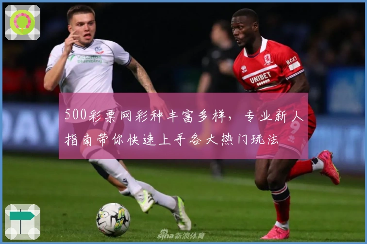 500彩票网彩种丰富多样，专业新人指南带你快速上手各大热门玩法