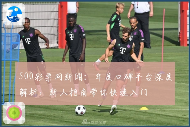 500彩票网新闻：年度口碑平台深度解析，新人指南带你快速入门
